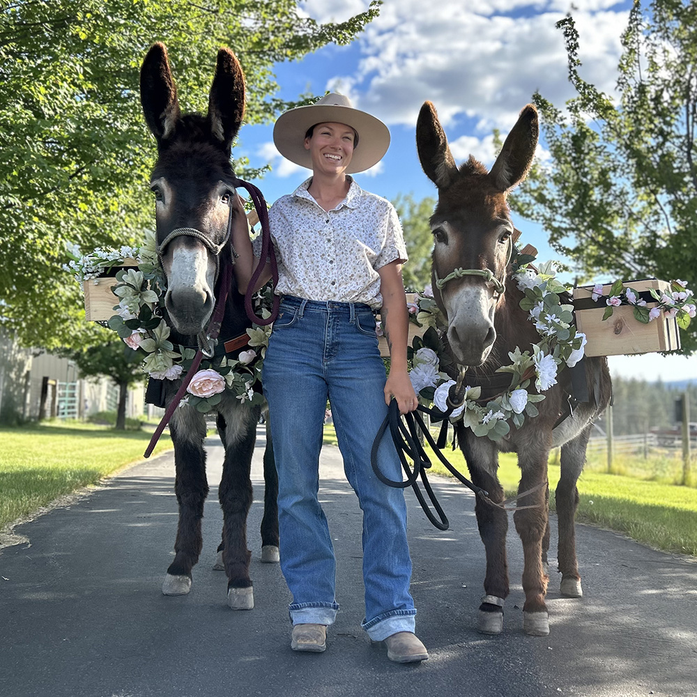 party donkey rentals