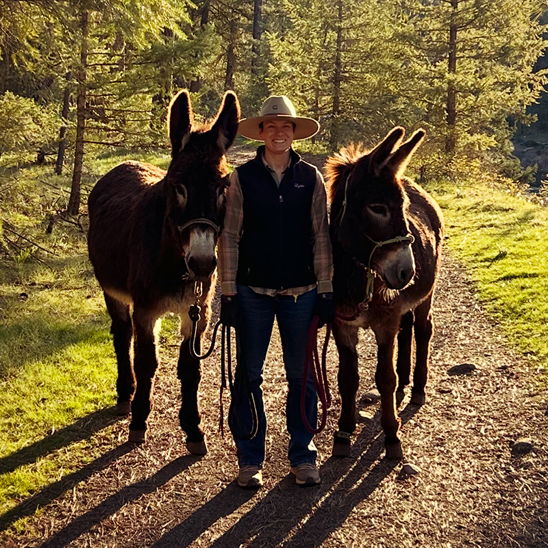 rescue-to-spotlight